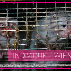 Plakatserie, Konzept gegen Tierqual