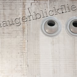 Einaugenblickfliege