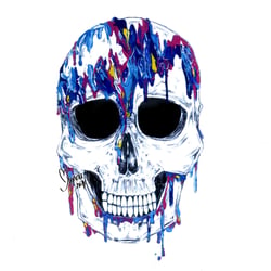 Acrylic Skull