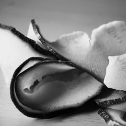 Zuchini Food Foto Übungen März 2014