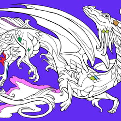 13-Drache-web