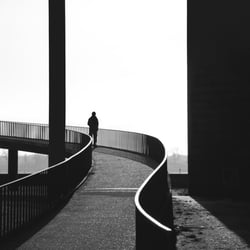 Theodor Heuss Brücke