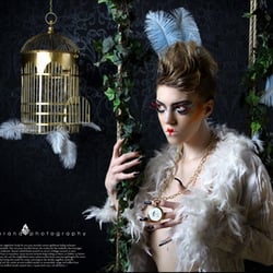 Birdstory