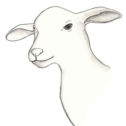 Chinesische Tierkreiszeichen