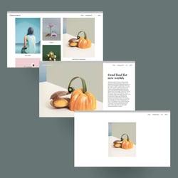 Web design (wordpress) für die Fotografin Carmen Mitrotta_art section