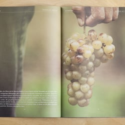Weingut Edelbauer Imagebroschüre