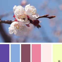 spring