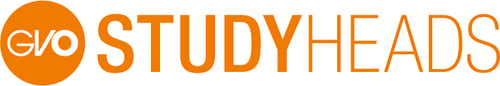 GVO Young Professionals GmbH