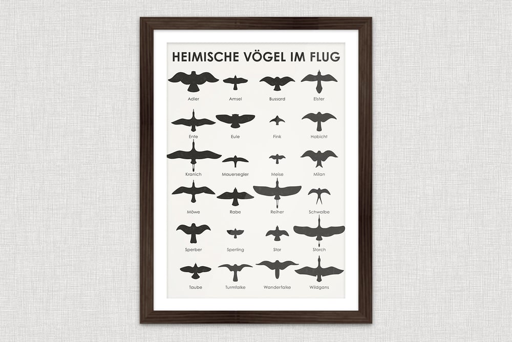 Heimische Vögel im Fluge