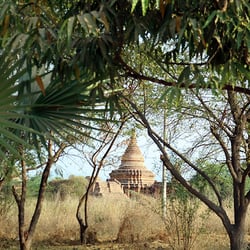 Bagan 2