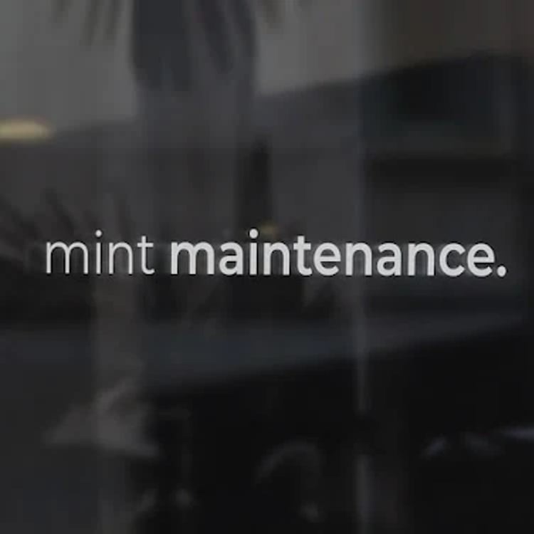 Mint Maintenance
