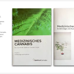 Strategische Kommunikation – Brand Identity