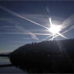 morgens am Neckar