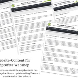 Geprüfter Webshop