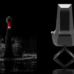 Inspiration Schwan