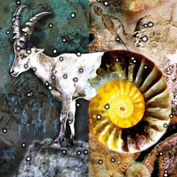 Zodiac (Lyrik): Capricornus