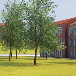 Siedlung 3