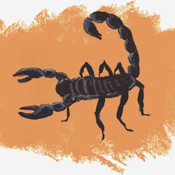 „Scorpion“ Sternzeichen, (Aquarell, Tempera, Buntstift)