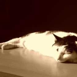 Bastet in Sepia No. 02