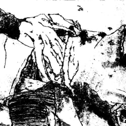 Torso
