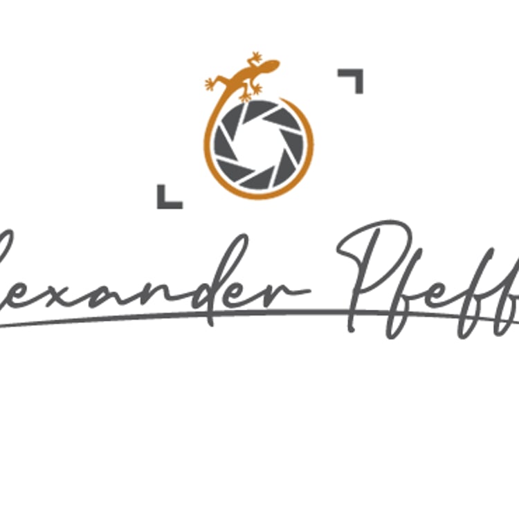 Alexander Pfeffel