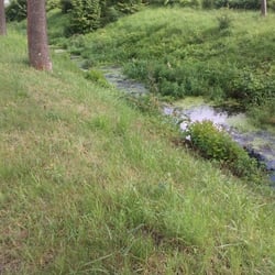 Natur 2012 Bäume