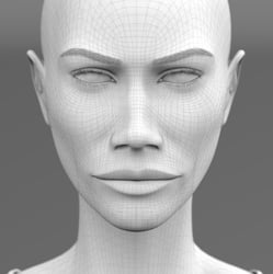 Jou Head Wireframe