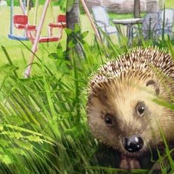 Im Käfergäßchen: Felix, der Igel