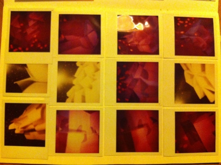Polaroid