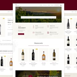 Corporate Website + Onlineshop