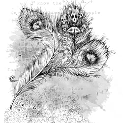 buch feuervogel Peacock Kopie