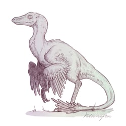 Velociraptor