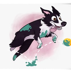 Tierportraits