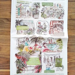 Comicreportage Botanischer Garten Erlangen Zeitungsseite