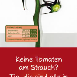 Panel 1 – Rückseite