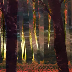 Landscape3
