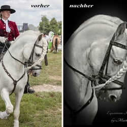 White Horse
