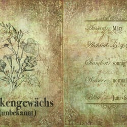 Rankengewächs
