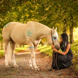 Belichtungszeit Sarah H 013