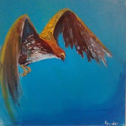 Adler im Flug