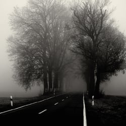 November