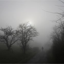 im Nebel