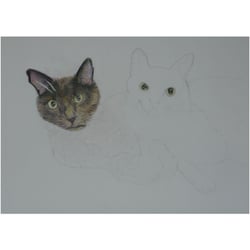 Katzen von Rosie halbfertig