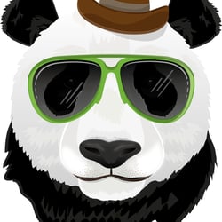 Panda Hipster
