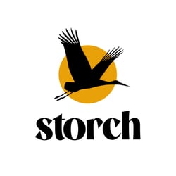 STORCH, Variante 2
