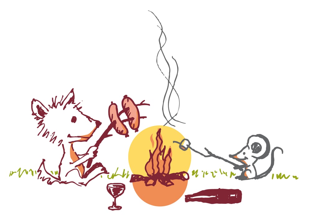 Illu für einen sommerlichen Newsletter von Anderwenig – Weinhandel, Düsseldorf