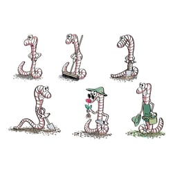 Illustration aus Broschüre – Der Regenwurm