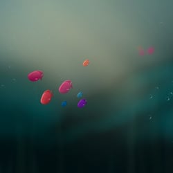 Kleine Fische im großen Meer