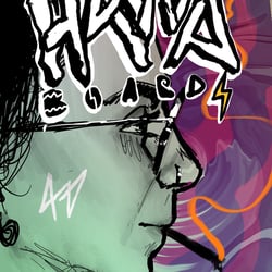 Havva Boards Konzept