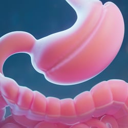 Medical Illustration